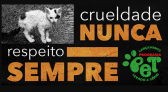 Programa estadual de castração animal será lançado pelo Governo de Santa Catarina nesta quarta-feira (30)