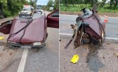 Duas crianças morrem e carro é partido ao meio após motorista desviar de tamanduá em rodovia
