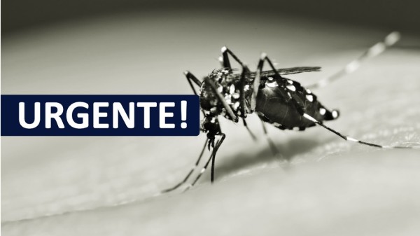 Com meta de 90%, cobertura vacinal da dengue é de 25% em SC, mesmo com escalada de mortes