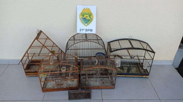 Homem é preso por maus-tratos a animais e posse irregular de arma