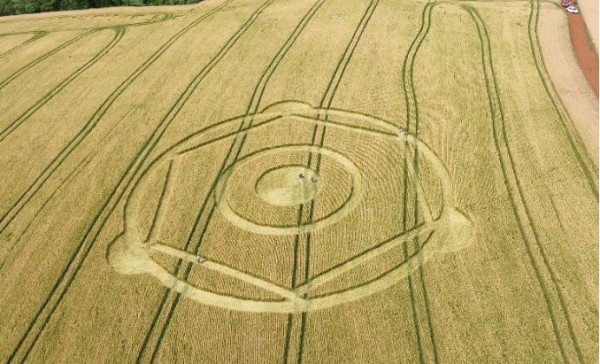 Agroglifo aparece novamente em plantação de trigo no Oeste