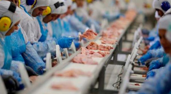 Exportação brasileira de carne suína cresce 17,8% em novembro