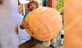 Produtor colhe abóbora com 76 kg no Meio-Oeste