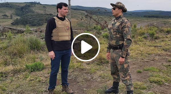 VÍDEO: MPSC e Polícia Militar Ambiental vistoriam área de Mata Atlântica desmatada
