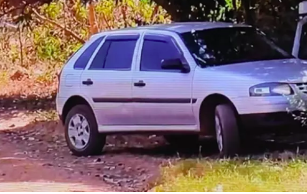 Homem tem carro invadido por enxame de abelhas, é atacado e morre no local