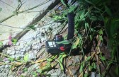 PM localiza tornozeleira eletrônica ao procurar autor de furto em loja