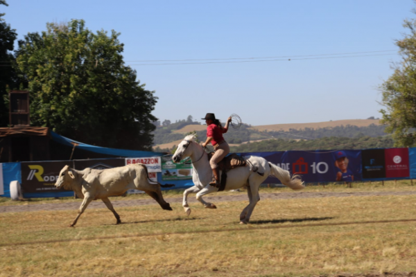 XXV Rodeio Crioulo e Artístico Nacional será realizado entre 19 e 22 de março