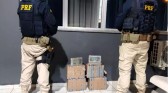 42 kg de cocaína são apreendidos pela PRF na BR-101