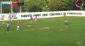 III Copa Brio Limp começa neste domingo com dois jogos