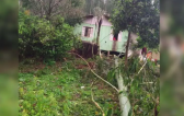 Chuva causa transtornos no Oeste de SC: destelhamentos, queda de árvores e morte de animais