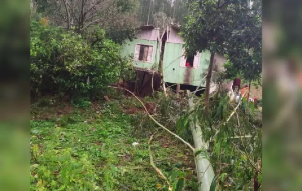 Chuva causa transtornos no Oeste de SC: destelhamentos, queda de árvores e morte de animais