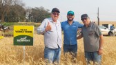 Peron Agronegócios firma novas parcerias para produção de genética avançada de grãos