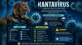 Paraná confirma dois casos de hantavírus e investiga outros 11 casos suspeitos