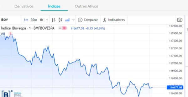 De +142% a -78%, as ações que mais subiram e mais caíram no Ibovespa em 2022