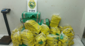 Polícia Militar apreende 502 kg de maconha e recupera veículo furtado na BR-163 em Capitão Leônidas Marques