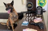 Polícia Militar realiza Operação Encarcerados e cumpre mandados