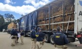 PRF flagra 244 toneladas de excesso de peso em rodovias federais de SC