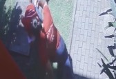 Bebê de 10 dias é salvo por bombeiros após se engasgar com leite materno