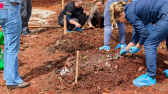 Município recebe curso para implantação e manutenção de horta comunitária