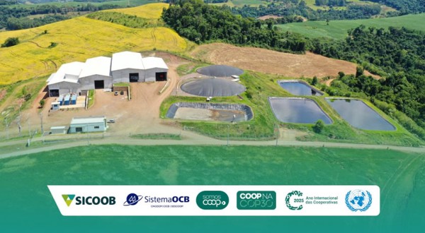 Sicoob São Miguel leva o cooperativismo catarinense à COP30