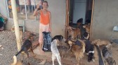 Com 63 anos Dona Nira cuida de quase 70 cães em sua casa