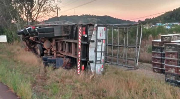 Carreta carregada com frangos tomba na SC-160