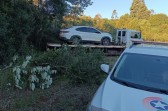Veículo roubado é localizado abandonado em meio à mata no Meio-Oeste