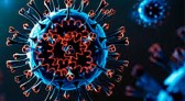 Fiocruz alerta para aumento de casos de Covid-19 em 12 estados brasileiros