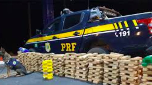 Apreensões de drogas somam quase uma tonelada nas rodovias federais de SC em 2025