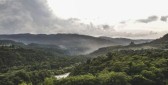 Megaoperação contra desmatamento da Mata Atlântica começa em SC e outros 16 estados