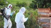 Casos de dengue chegam a 13 no município