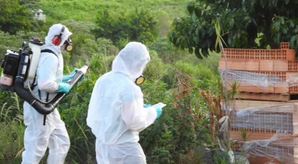 Casos de dengue chegam a 13 no município