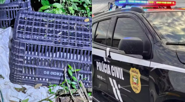 Corpo achado amordaçado pode ser de advogado venezuelano desaparecido em SC
