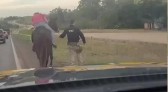 Policiais escoltam homem bêbado que dormia em cima de cavalo no Paraná