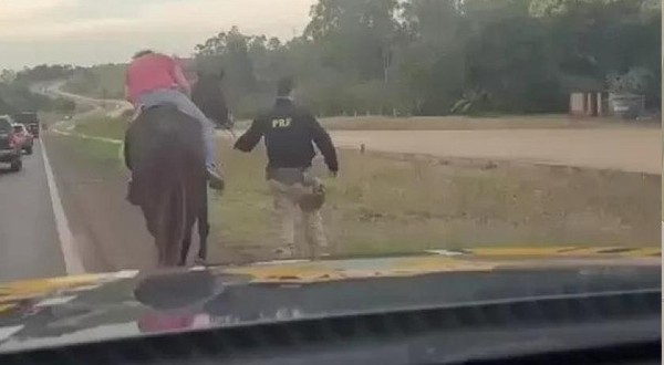 Policiais escoltam homem bêbado que dormia em cima de cavalo no Paraná