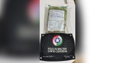 Discussão entre casal termina com apreensão de cerca de 100 pés de maconha