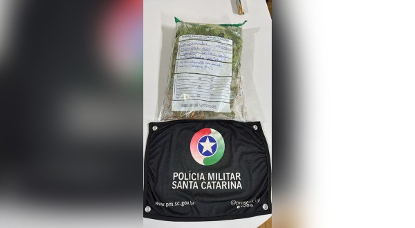 Discussão entre casal termina com apreensão de cerca de 100 pés de maconha