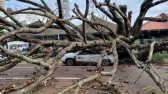 Veículo da Saúde de São José do Cedro é destruído por queda de árvore no Paraná