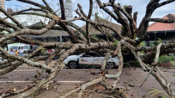 Veículo da Saúde de São José do Cedro é destruído por queda de árvore no Paraná