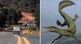 Obra de asfalto é paralisada em rodovia do Paraná devido a fósseis de animais mais antigos que dinossauros