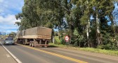 Serra do BNH terá sistema Pare e Siga no sábado (25) para corte preventivo de árvores