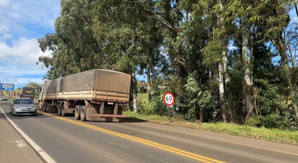 Serra do BNH terá sistema Pare e Siga no sábado (25) para corte preventivo de árvores