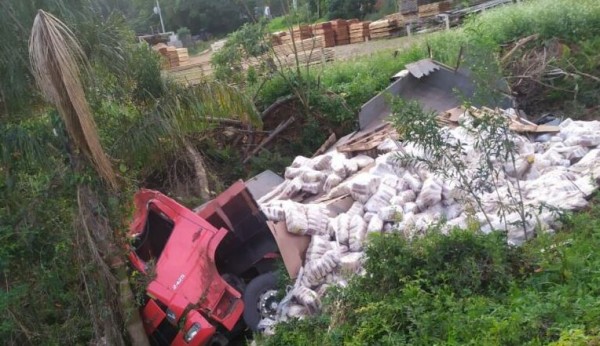 Caminhão com carga de arroz sai da pista e tomba na BR-282, no Oeste de SC