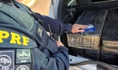 PRF intercepta carro com 285 kg de maconha em Santa Catarina