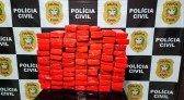 Cerca de 70kg de maconha são apreendidos