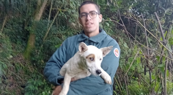 Cão é resgatado após passar quatro dias preso em penhasco de 30 metros