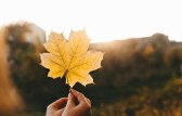 Semana será de sol e temperaturas baixas em SC
