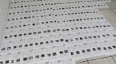 Fraude em vistorias de veículos