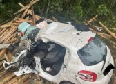 Motorista e cachorro morrem em acidente com caminhão carregado de madeira em SC