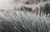 SC tem o inverno mais frio dos últimos 25 anos, aponta levantamento